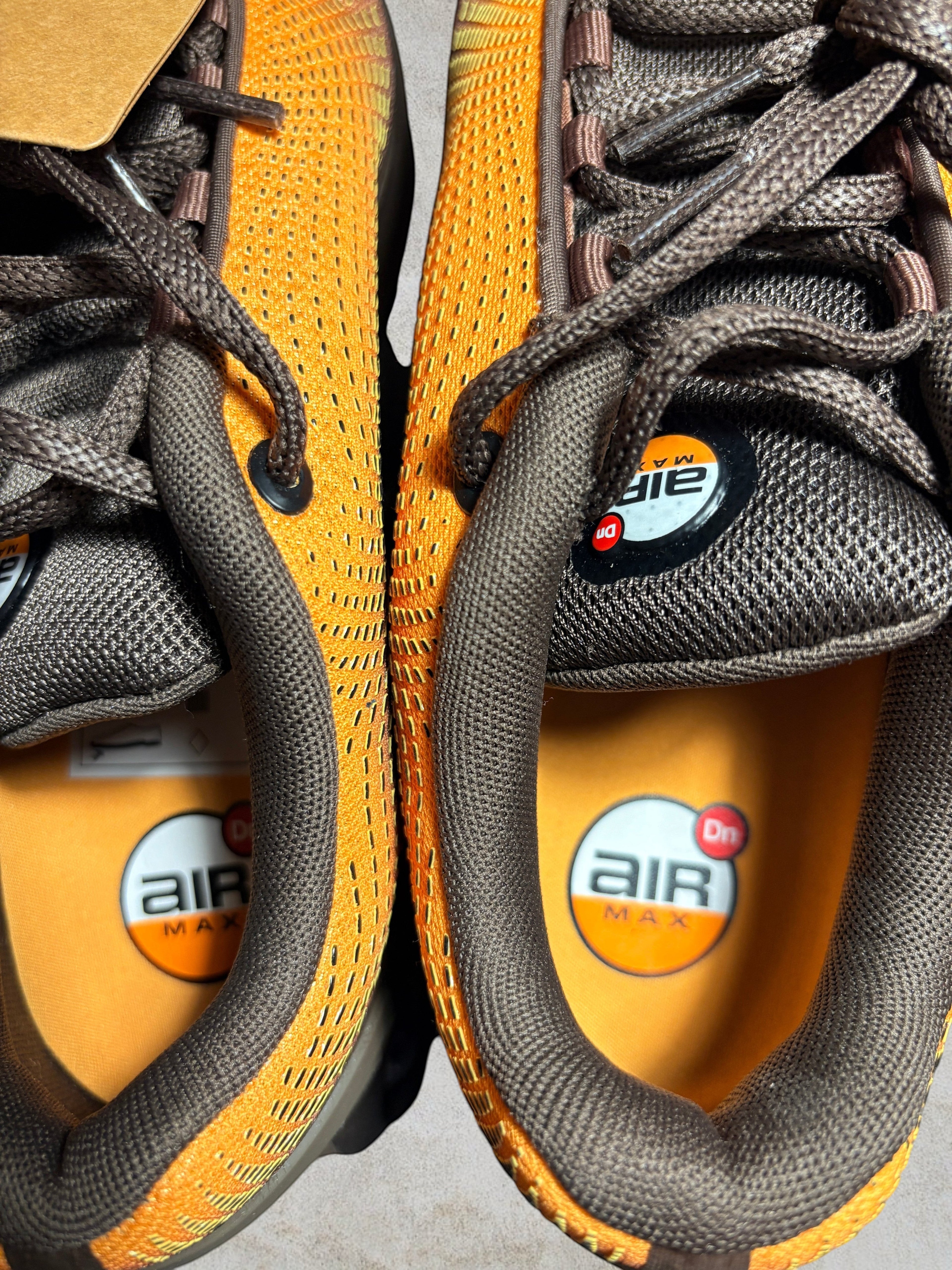 Nike Air Max Dn  Canyon Rust – Taille 41