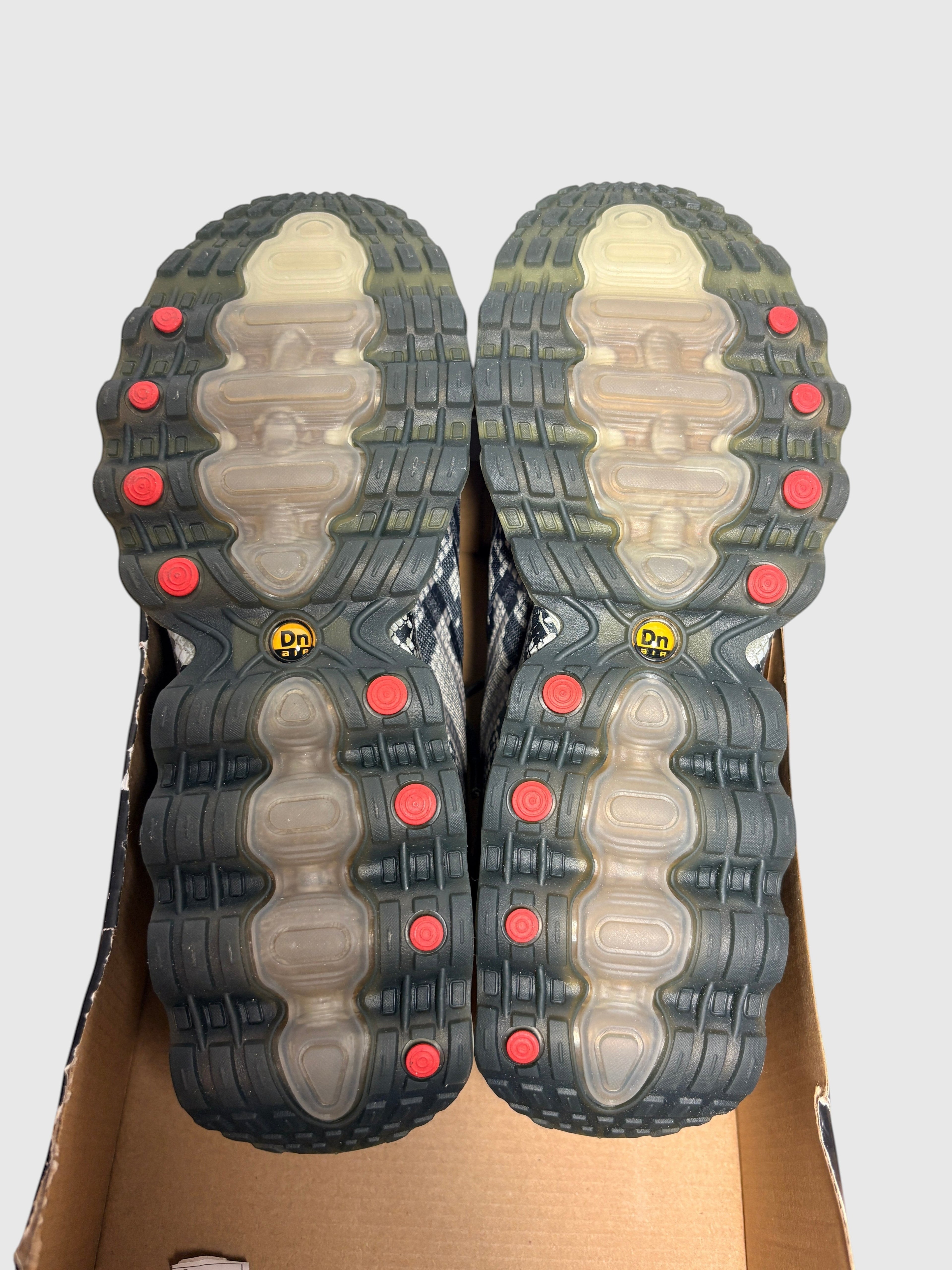 Nike Air Max Dn8 "Snakeskin" Vert Olive & Peau de Serpent – Pointure 38 NIKE